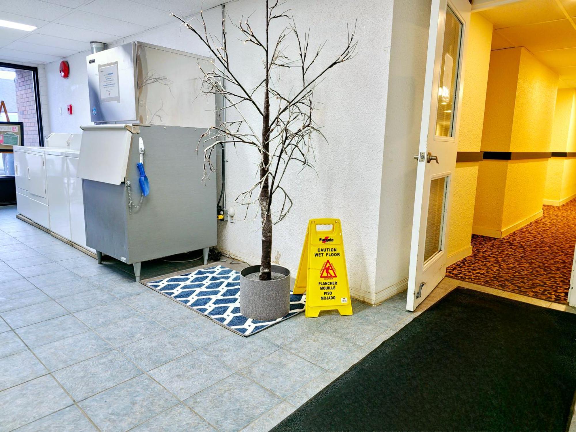 Cloud 9 Inn Whitecourt Eksteriør billede